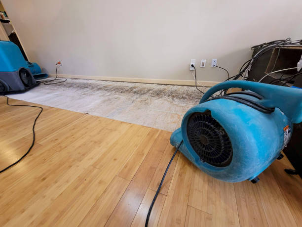 Professional Sewage Cleanup technician working in Appleton, WI